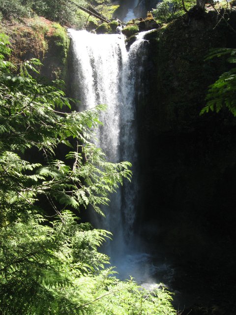 Paradise Creek-136.JPG - Falls Creek Falls